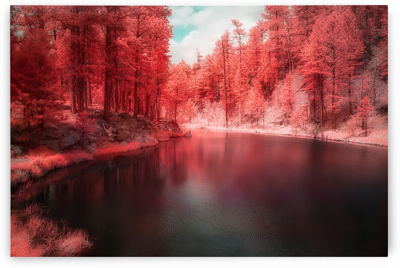 Radiant Tranquility: A Stroll Along Grace Coolidge Lakes Infrared Wonderland in South Dakota by Dream World Images