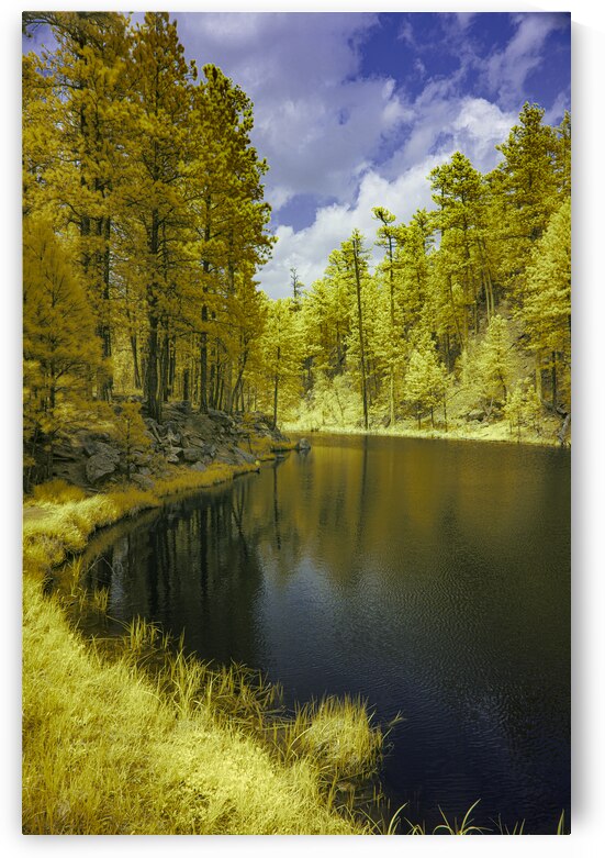 Coolidge Pond - 3 by Dream World Images