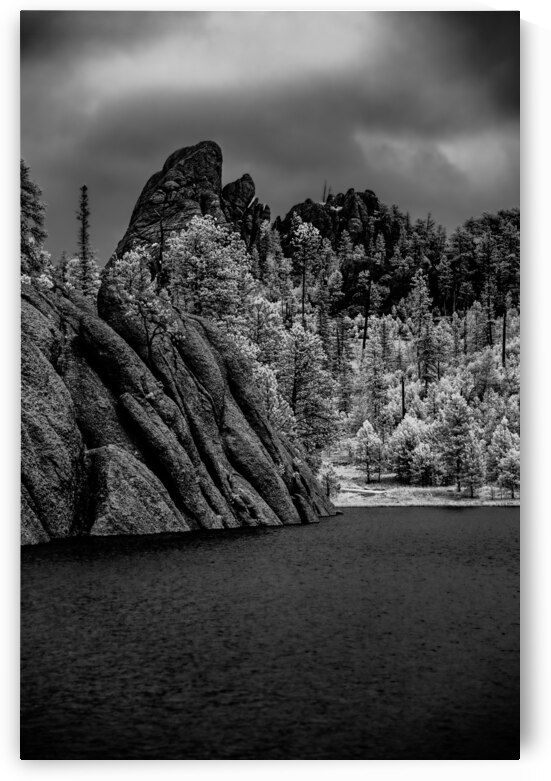Sylvan Serenity: A Monochrome Tale of Natures Harmony in Custer State Park by Dream World Images