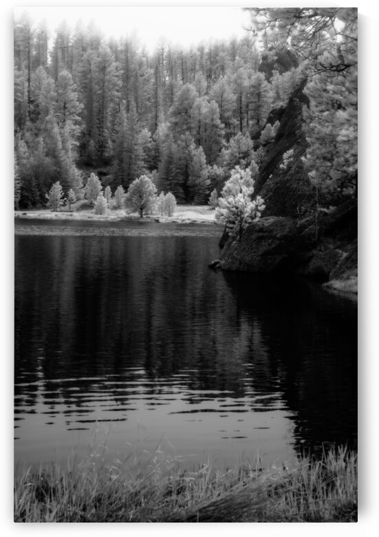 Enchanting Haze: Hazy Pines in Infrared at Sylvan Lake South Dakota by Dream World Images