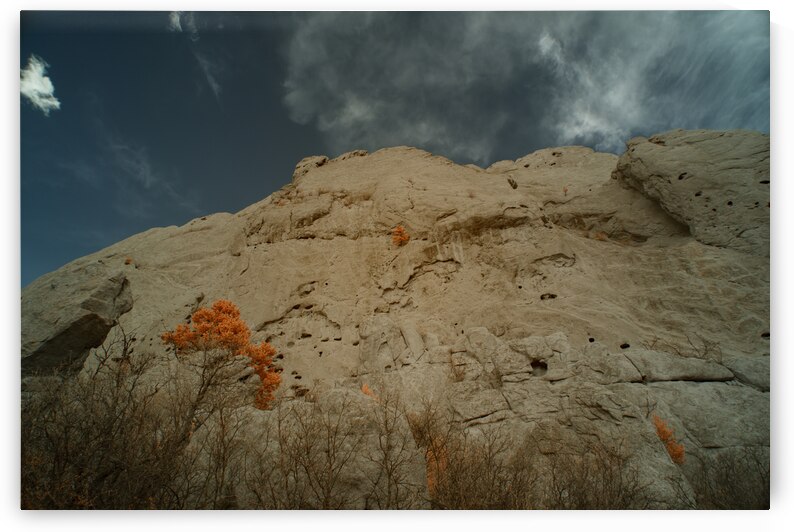 Orange Mountain Tree by Dream World Images