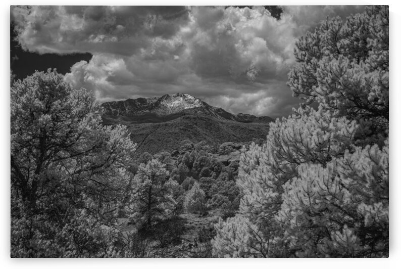 Majestic Pinnacle: A Serene Encounter on Scotchman Trail Garden of the Gods by Dream World Images