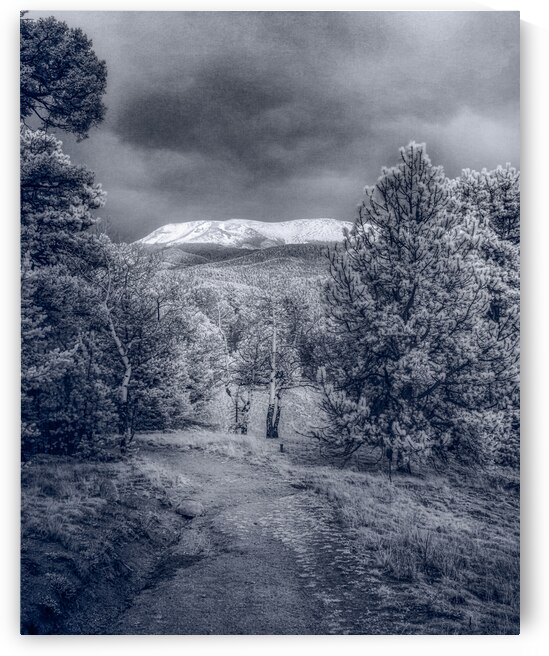 Mueller Aspen Series: Mountain Trail Tranquility by Dream World Images