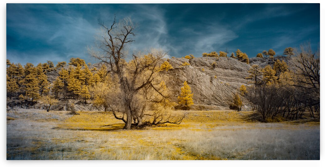 A Tranquil Escape: Red Rock Canyon Open Space in Golden Infrared Splendor by Dream World Images