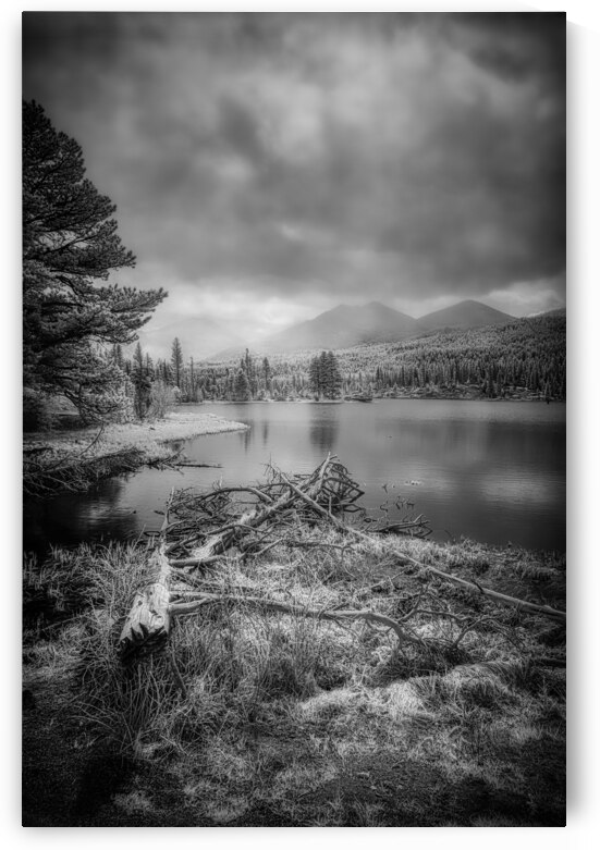 Fallen Sentinels: Rocky Mountain National Park by Dream World Images