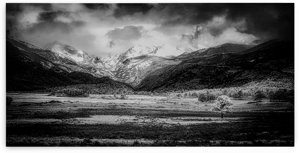 Mountains Embrace: Lone Valley Tree by Dream World Images