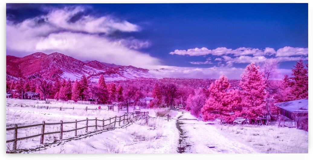 Chautauqua Chronicles: Pink Path by Dream World Images