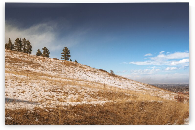 Chautauqua Chronicles: Pines on a Hill by Dream World Images