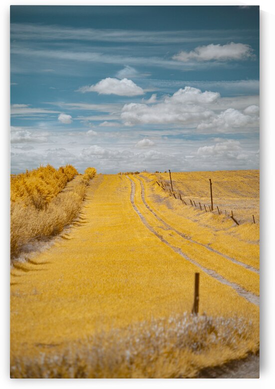Nebraska Farm Lane - 3 by Dream World Images