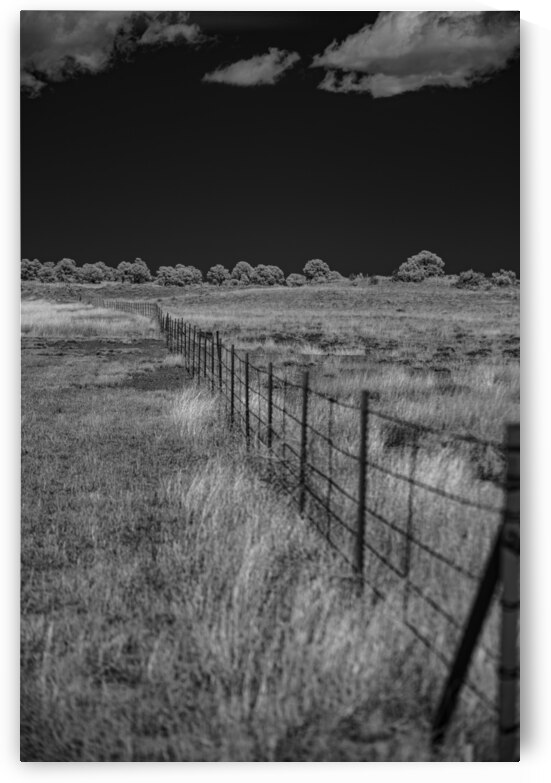 New Mexico Fence Line by Dream World Images