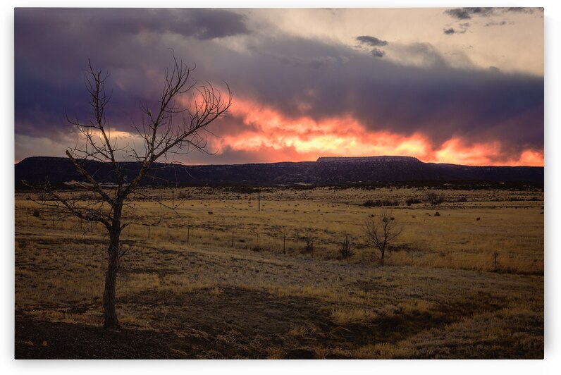 Heavens Blaze: Sunset Symphony in Cold Beer New Mexico by Dream World Images