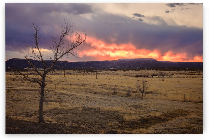 Heavens Blaze: Sunset Symphony in Cold Beer New Mexico by Dream World Images