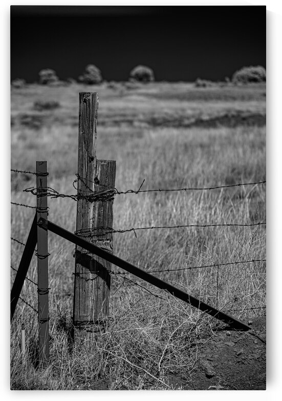 New Mexico Fence Corner by Dream World Images