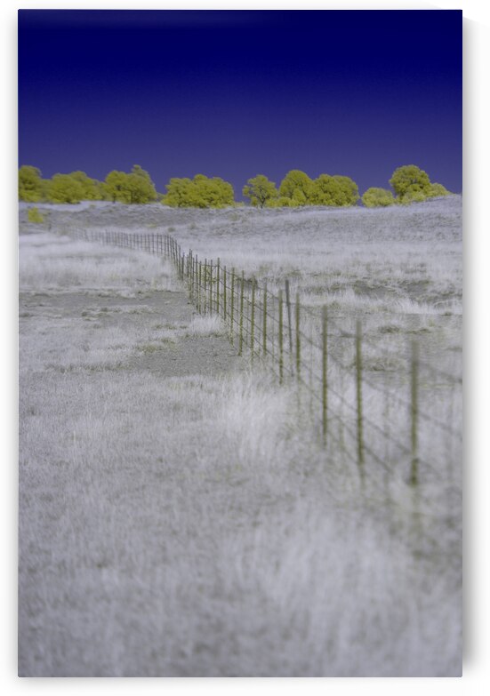 Mustard Fenceline by Dream World Images
