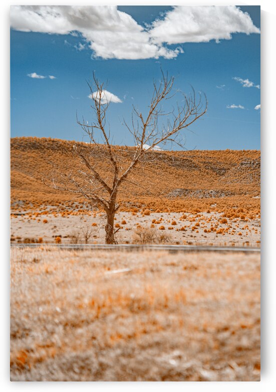Copper Lone Tree by Dream World Images