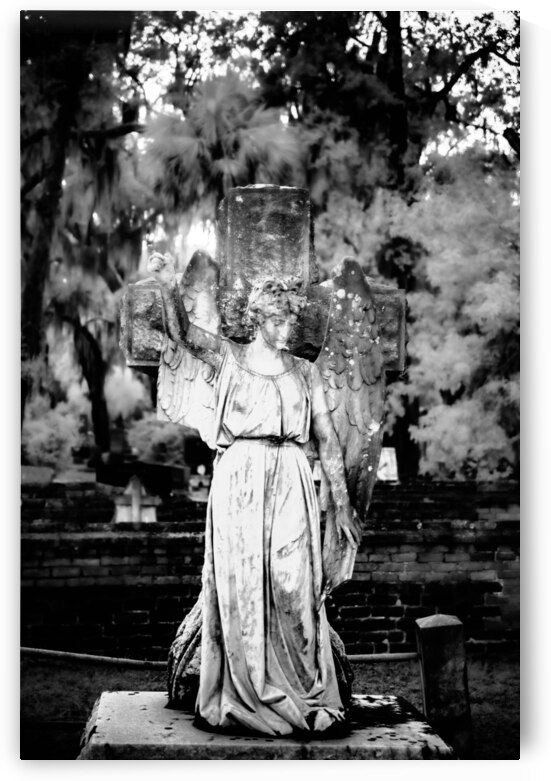 Guardian of Serenity: Unveiling Saint Marys Angel Light at Oak Grove Cemetery by Dream World Images