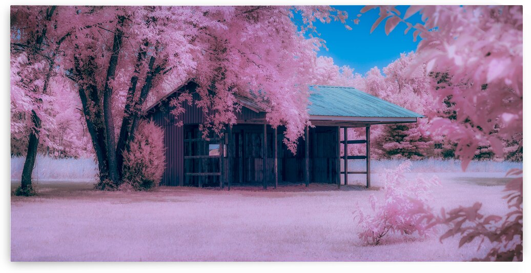 Infrared Delaware Barn by Dream World Images