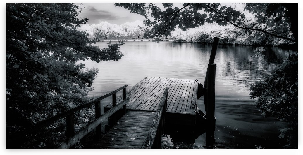 Monochrome Serenade: Abbotts Pond Delaware by Dream World Images