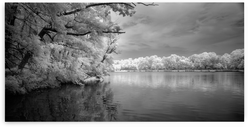 Infrared Killens by Dream World Images