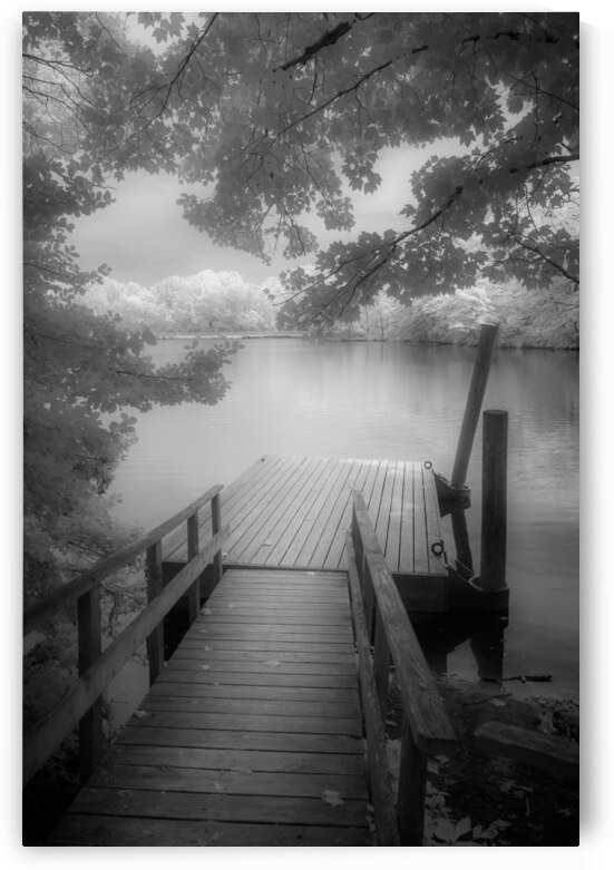 Stillness Captured: Abbotts Pond by Dream World Images