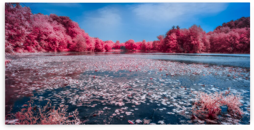 Ruby Pond by Dream World Images