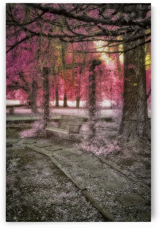 Echoes of Time: Infrared Memories by Dream World Images