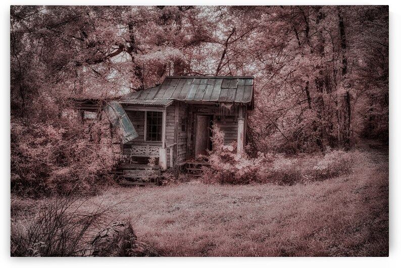 Louisiana Fishing Shack-3 by Dream World Images