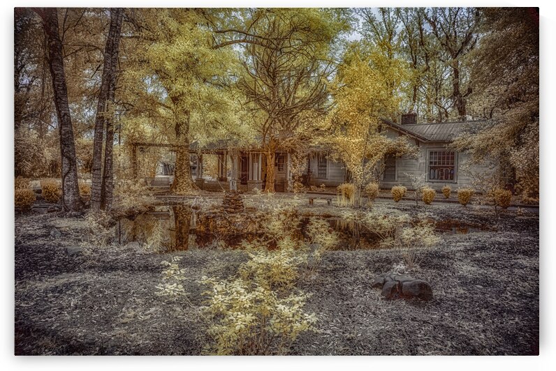 Louisiana Hunting Lodge by Dream World Images