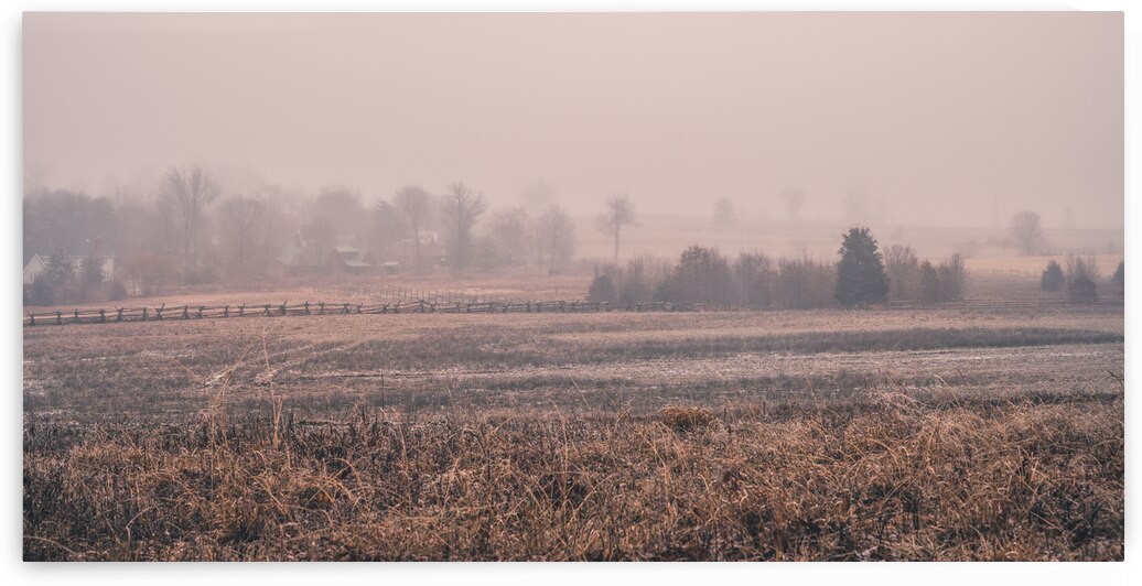 Hazel Field by Dream World Images