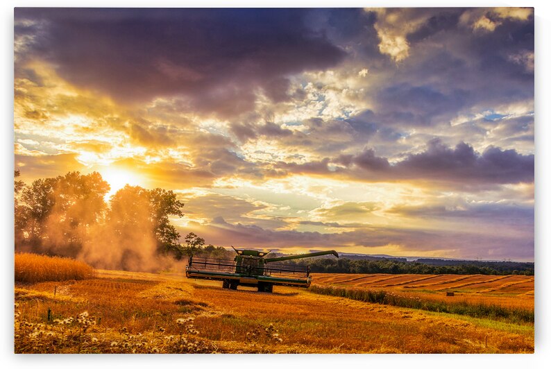 Harvest by Dream World Images