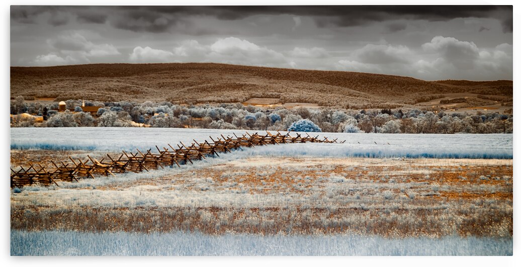 Infrared Fenceline by Dream World Images
