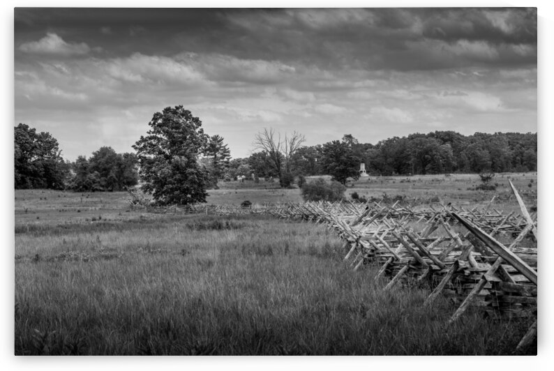 Fenceline Field by Dream World Images