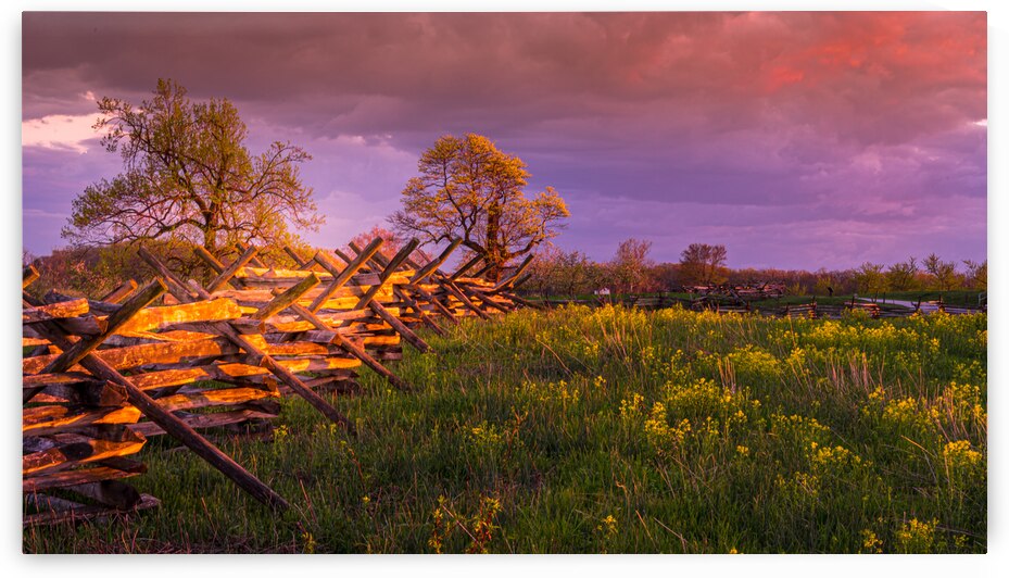 Sunset Fence by Dream World Images