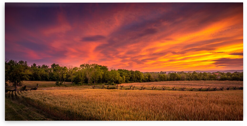 Sunset along a fence by Dream World Images