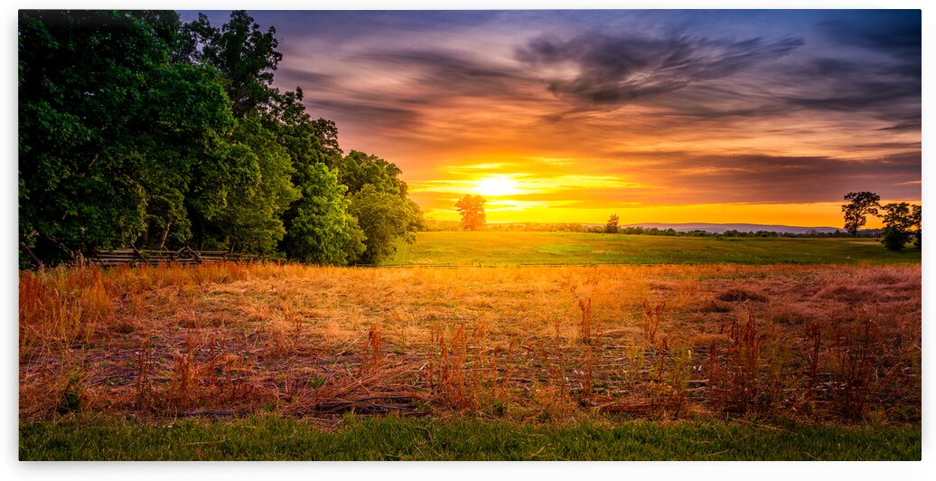 Herps woods Sunset by Dream World Images