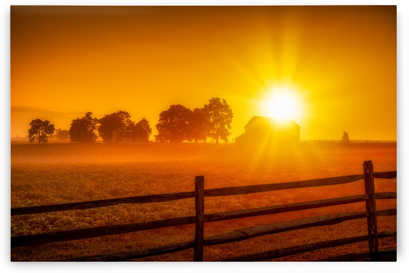 Sunny Farm by Dream World Images