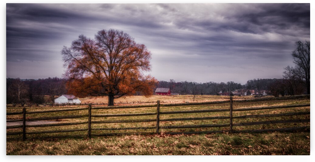 Autumn Splender by Dream World Images