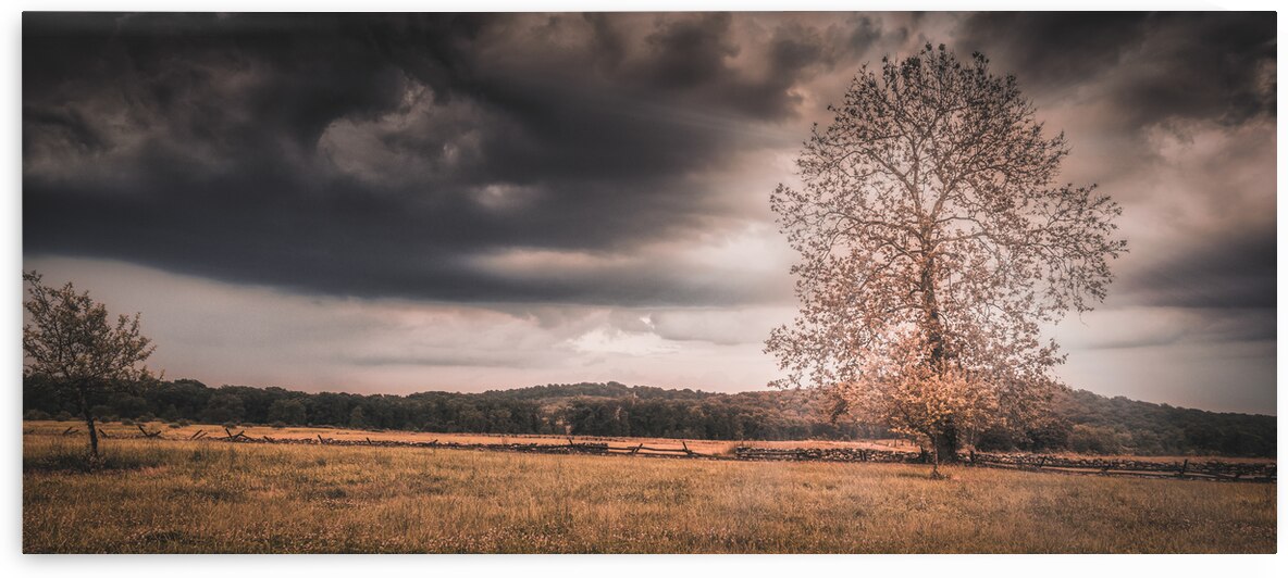 Lone Tree Storm by Dream World Images