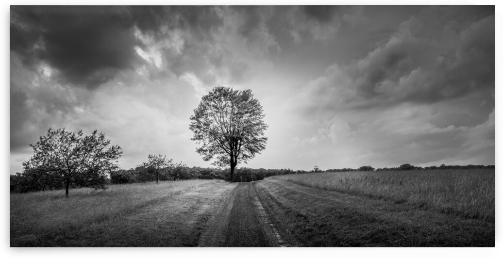 Majestic Solitude: An Evening Ride Through History by Dream World Images