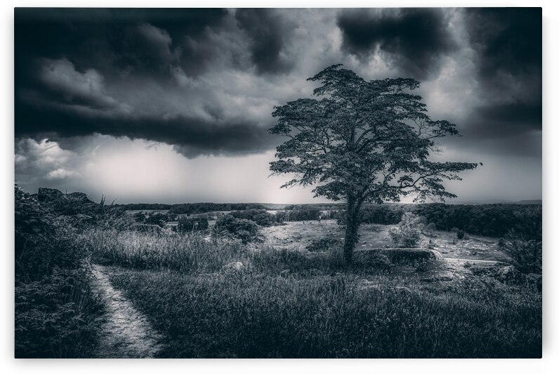 Black & White Storm  by Dream World Images