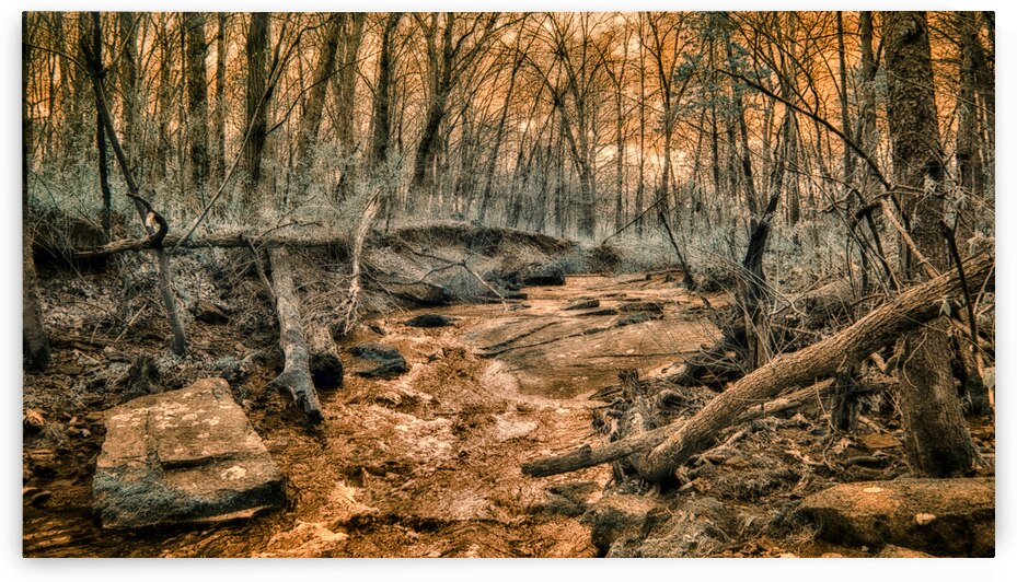 Ghostly Flow: Exploring Gettysburgs Bloody Run in Infrared by Dream World Images