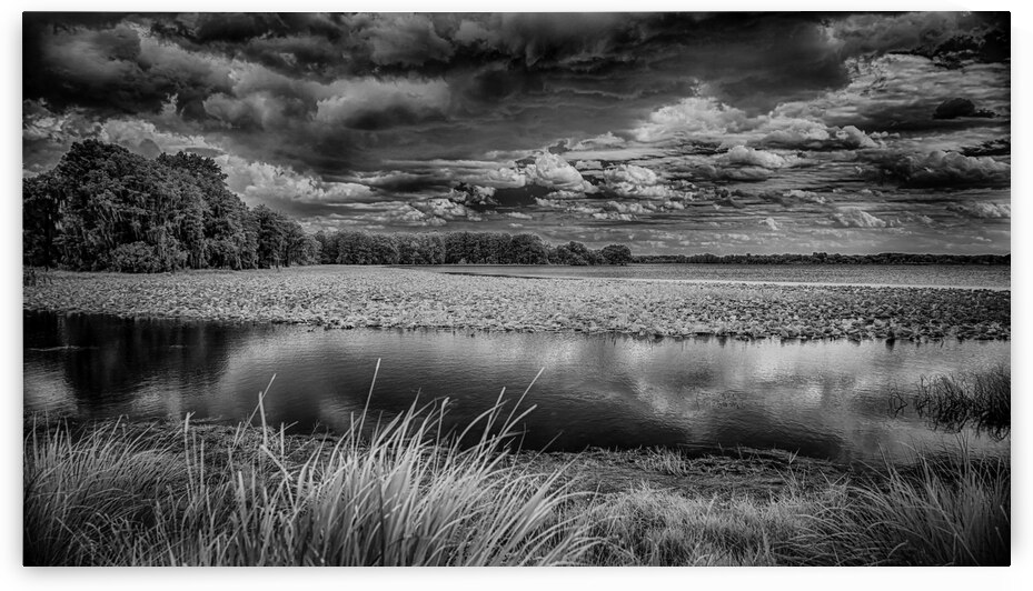 Ephemeral Drama: Stormy Embrace over Henderson Lake by Dream World Images