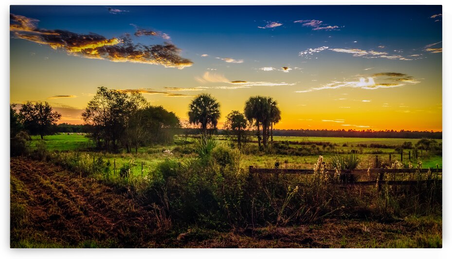 Rural Florida Sunset by Dream World Images