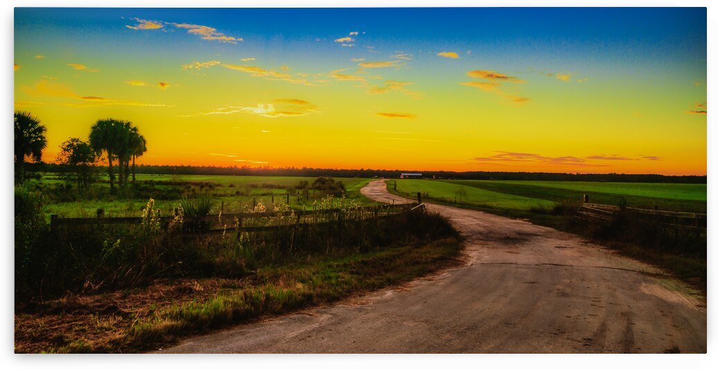 Sunset Serendipity: A Charming Ride Through Rural Floridas Ocala Countryside by Dream World Images