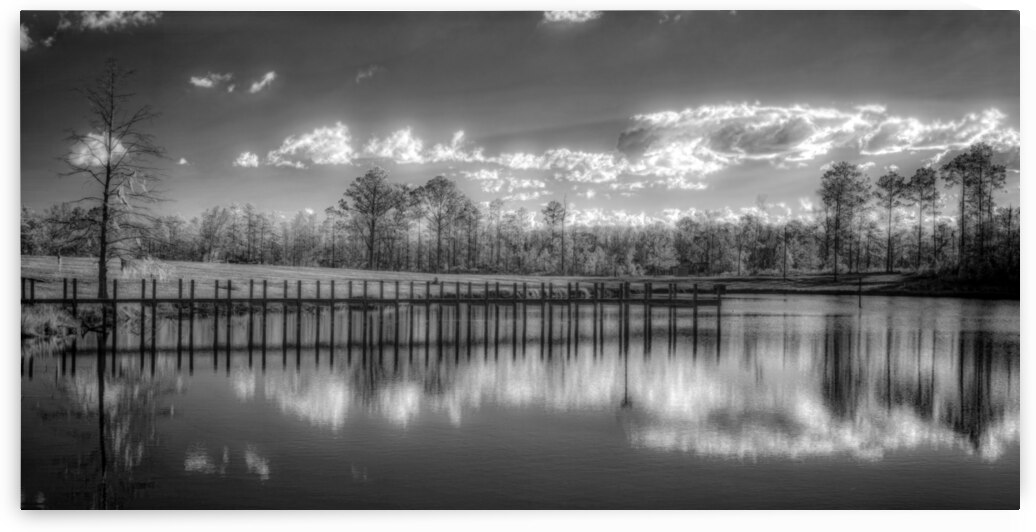 Tranquil Reflection: Florida Dead Lakes by Dream World Images