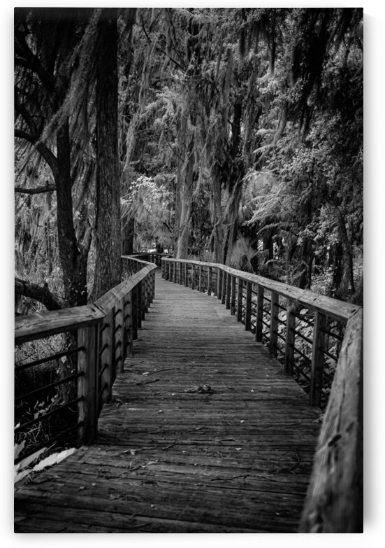 Crooked Walk by Dream World Images
