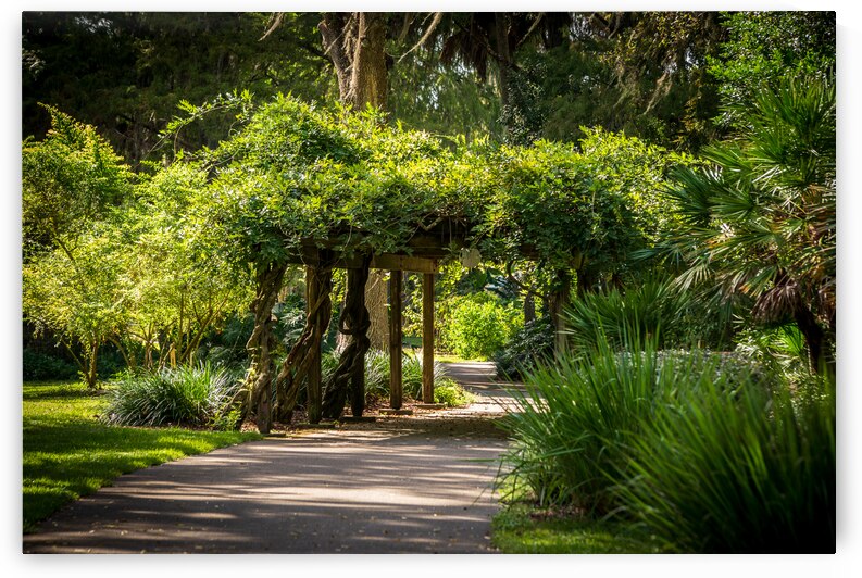 Rainbow Springs Path by Dream World Images
