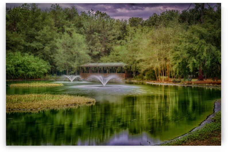 Aqua Symphony: Sholom Park Florida by Dream World Images