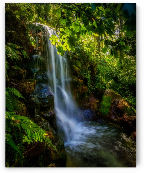 Short Falls in Florida by Dream World Images