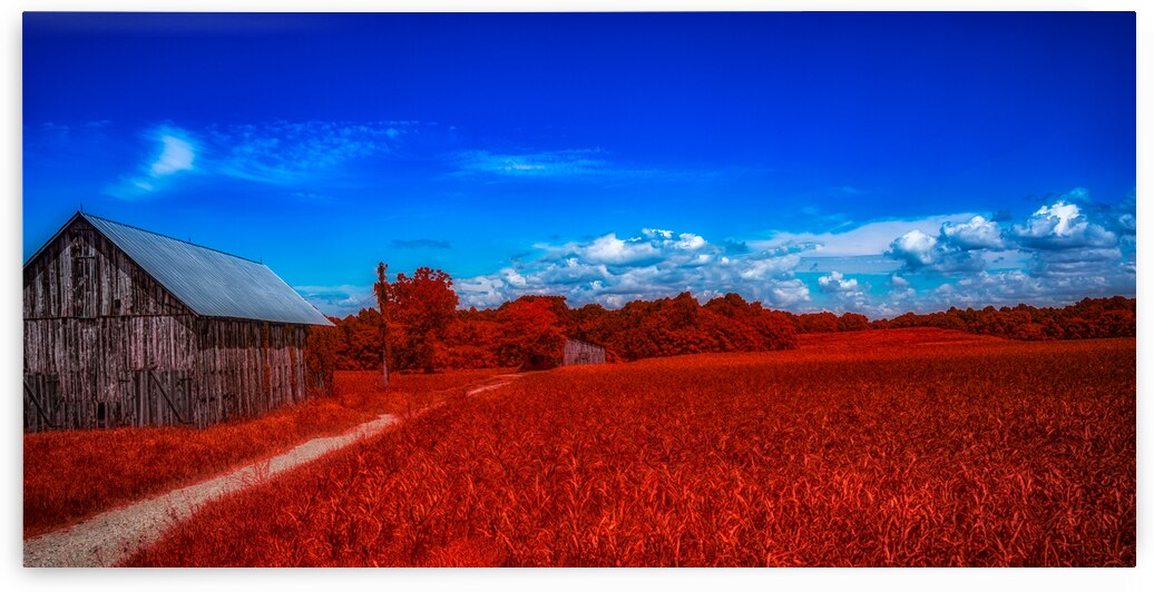 Red Barn Road by Dream World Images